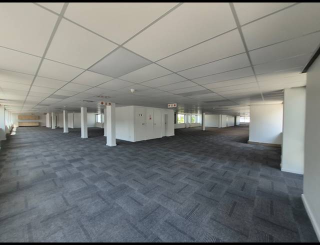 1,001M² OFFICE TO LET IN ROSEBANK